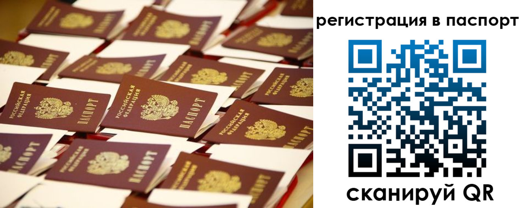 прописка гарантия в Рыбном